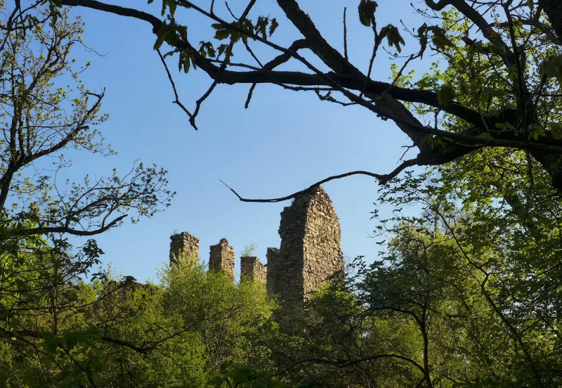 Castle Ruins Templštejn, Czech Republic (Czechia)